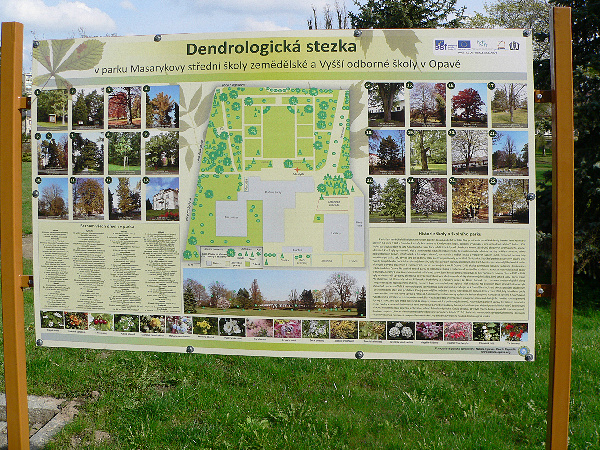 mevz3_20120508_1147811237.jpg