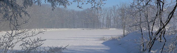 titul_zima_4_20120505_1716997549.jpg