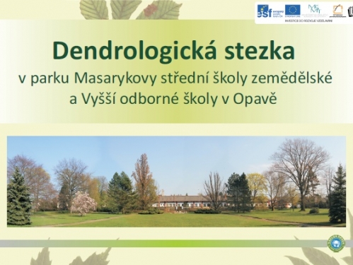 mevz15_20120514_1735897541.jpg