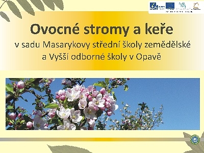 mevz5_20120508_1064058142.jpg