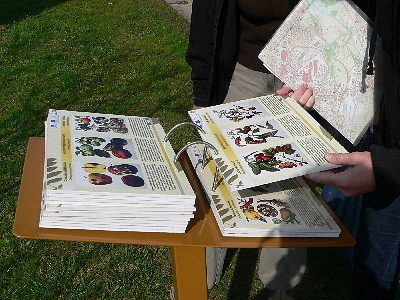 mevz6_20120508_1001517184.jpg