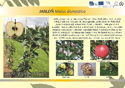 mevz9_20120514_1158042791.jpg