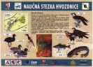 hvozdnice_6_20090404_1149808614