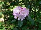 arboretum_kveten_2_20090519_1609593384