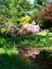 arboretum_kveten_3_20090519_1296504558